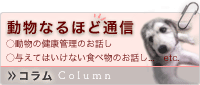 �R���������Ȃ�قǒʐM
