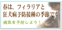 �t�B�����A�A�����a�\�h���N�`��