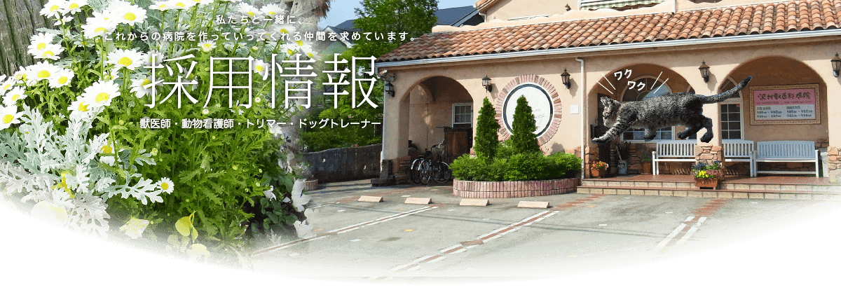 沢村獣医科病院 求人情報サイトでは、獣医師、動物看護師、ドッグトレーナー、トリマー、受付スタッフの募集求人案内情報をご案内しています