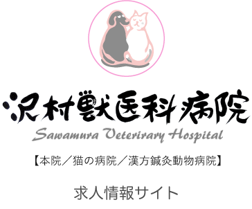 沢村獣医科病院求人サイト